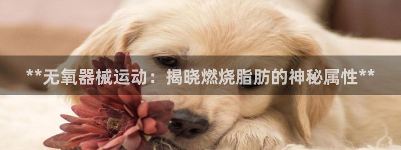 首页尊龙d88国际：**无氧器械运动：揭晓燃烧脂肪的