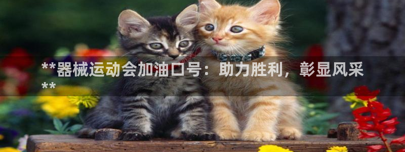 尊龙d88官网登录：**器械运动会加油口号：助力胜利