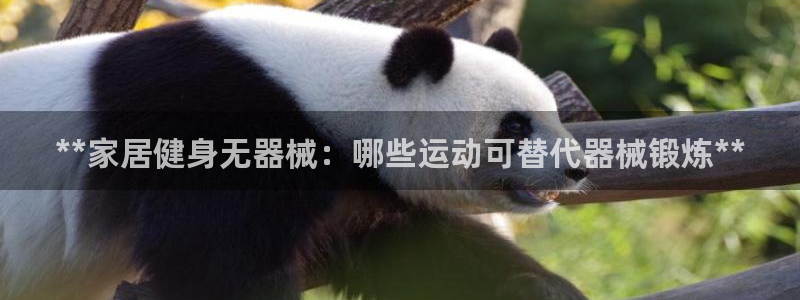 Z6尊龙凯时官方：**家居健身无器械：哪些运动可替代