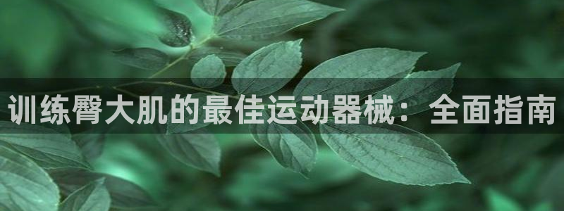 尊龙ag：训练臀大肌的最佳运动器械：全面指南