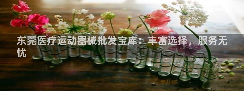 尊龙d88手机app免费下载：东莞医疗运动器械批发宝