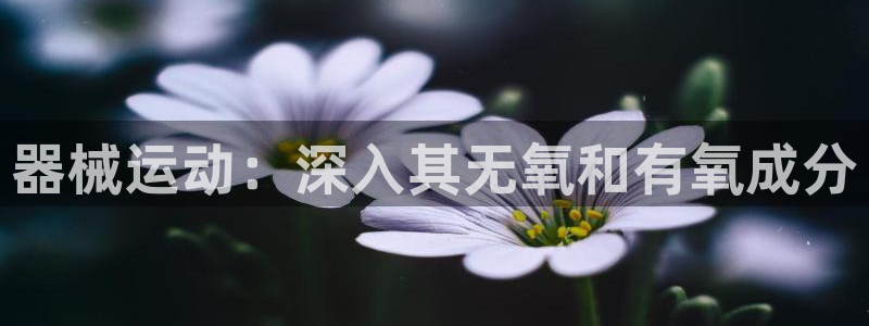 尊龙凯时平台怎么样：器械运动：深入其无氧和有氧成分
