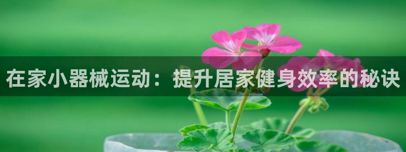 尊龙ag旗舰官网：在家小器械运动：提升居家健身效率的