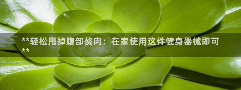 尊龙这个平台怎么样：**轻松甩掉腹部赘肉：在家使用这