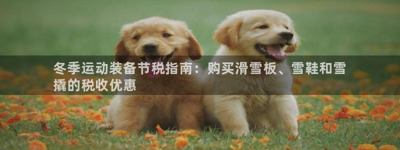 尊龙信息科技有限公司：冬季运动装备节税指南：购买滑雪