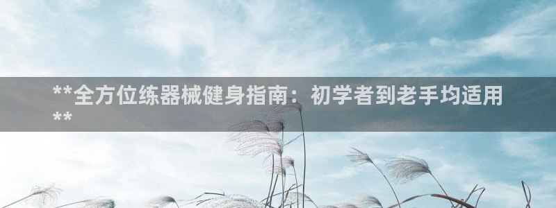 尊龙新版app：**全方位练器械健身指南：初学者到老手均适用
