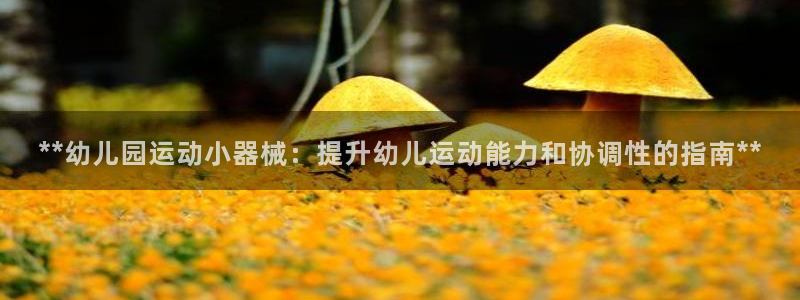 凯时国际app首页：**幼儿园运动小器械：提升幼儿运动能力和