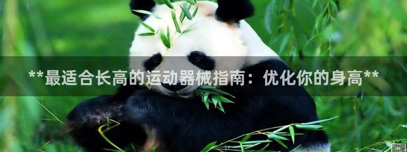 凯时网址多少：**最适合长高的运动器械指南：优化你的身高**