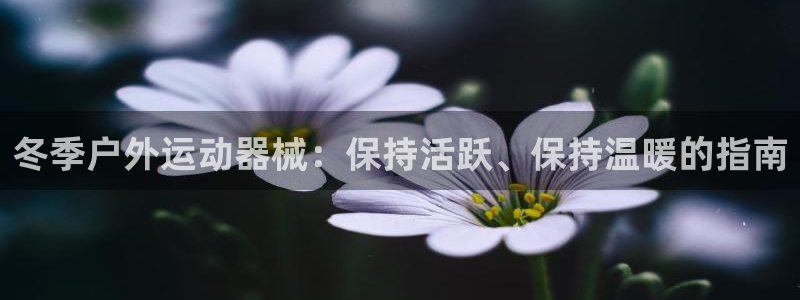 尊龙凯时福米推荐人：冬季户外运动器械：保持活跃、保持