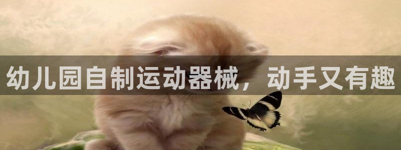 尊龙集团有限公司官网：幼儿园自制运动器械，动手又有趣