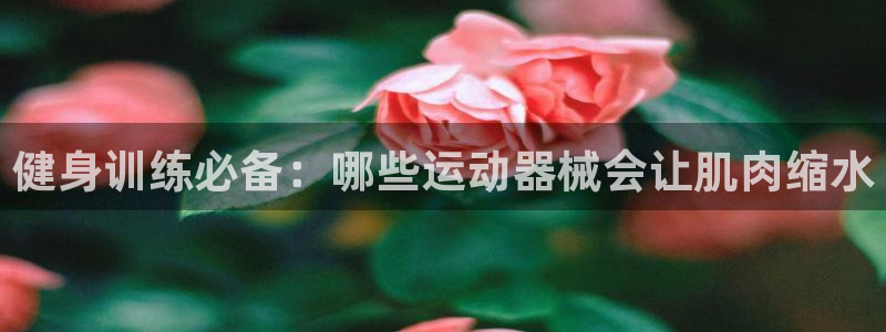 K66凯时国际平台官网：健身训练必备：哪些运动器械会让肌肉缩