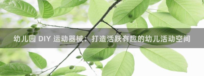 尊龙d88现金关注ag发财网：幼儿园 DIY 运动器