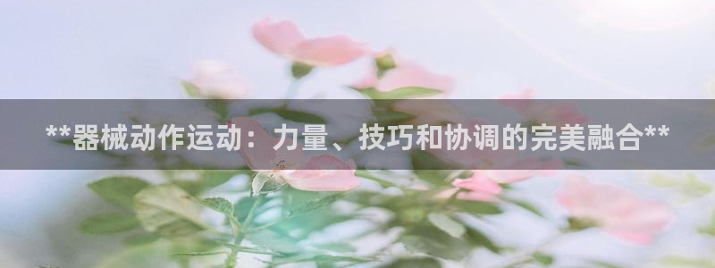 d88尊龙z6：**器械动作运动：力量、技巧和协调的