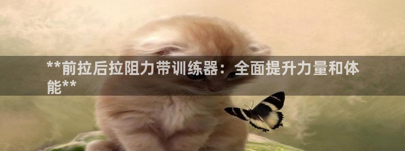 尊龙凯时人生就是搏!平台：**前拉后拉阻力带训练器：全面提升