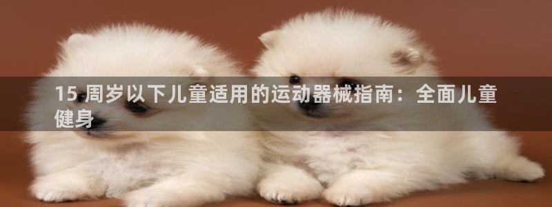 尊龙平台有谁玩过：15 周岁以下儿童适用的运动器械指