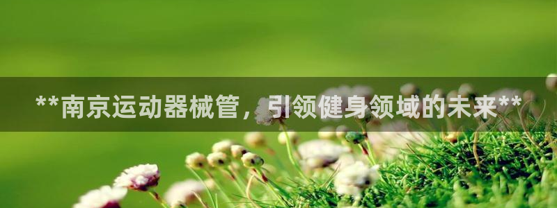 凯时登录首页,凯时K66：**南京运动器械管，引领健