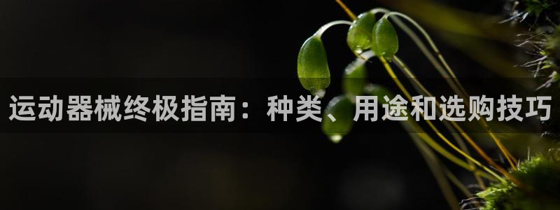 尊龙体育正规么：运动器械终极指南：种类、用途和选购技巧