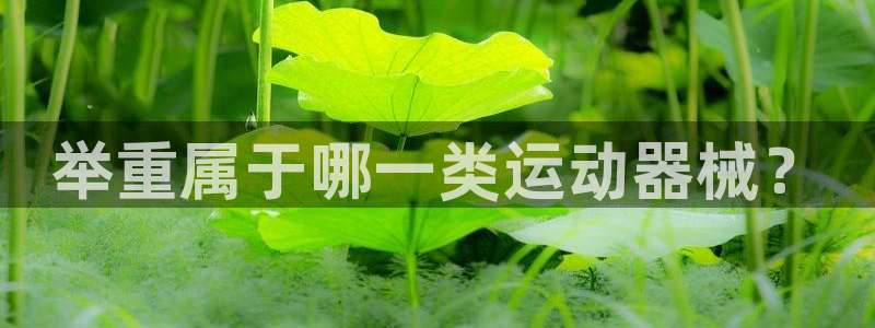 尊龙得过奥斯卡吗