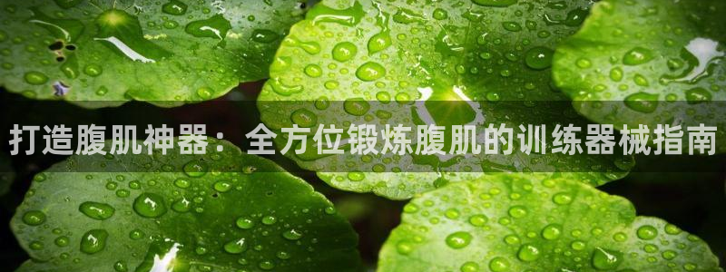 凯时网址多少：打造腹肌神器：全方位锻炼腹肌的训练器械指南