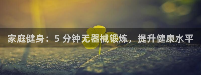 尊龙凯时是直营吗：家庭健身：5 分钟无器械锻炼，提升健康水平