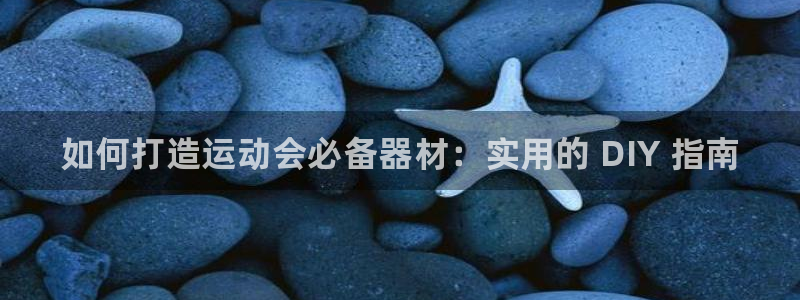 d88尊龙手机登录下载：如何打造运动会必备器材：实用