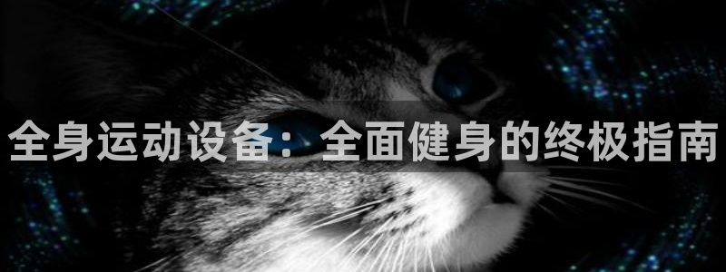 尊龙人生就是博电脑版：全身运动设备：全面健身的终极指