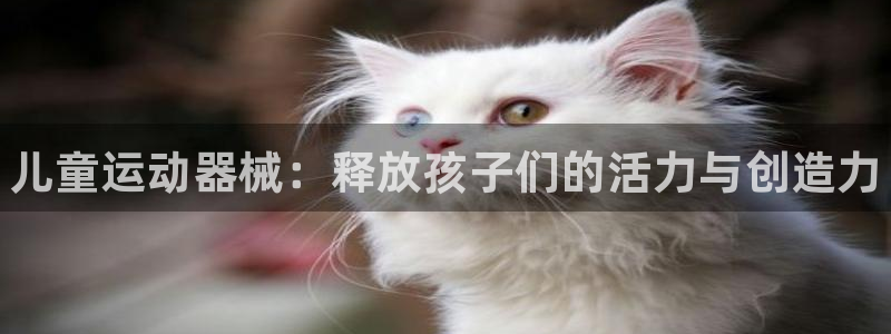 尊龙在线登录官网：儿童运动器械：释放孩子们的活力与创