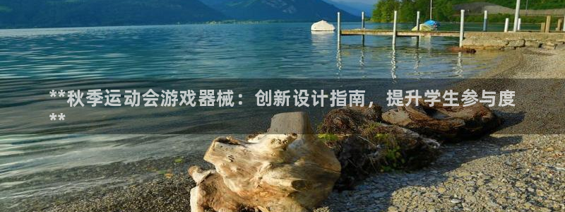 尊龙公司：**秋季运动会游戏器械：创新设计指南，提升