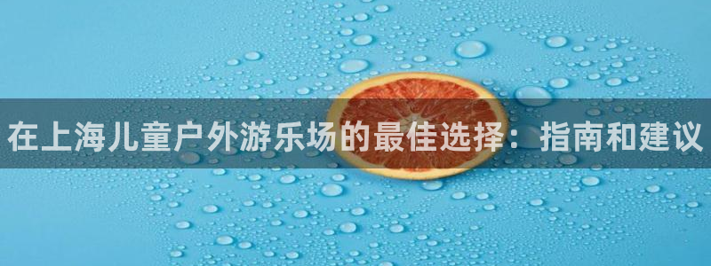 尊龙旗舰厅app：在上海儿童户外游乐场的最佳选择：指