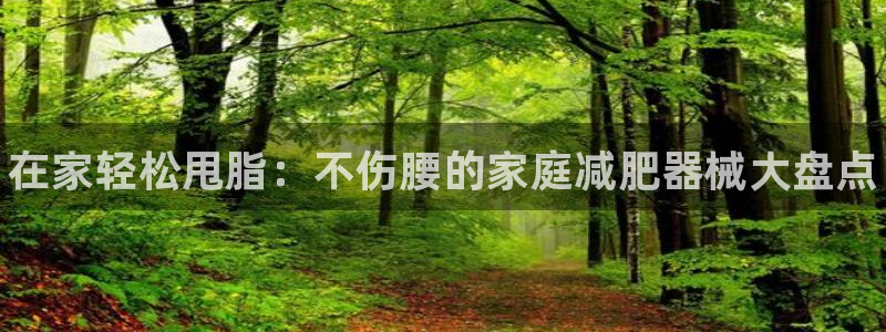 尊龙人生就是一博!：在家轻松甩脂：不伤腰的家庭减肥器