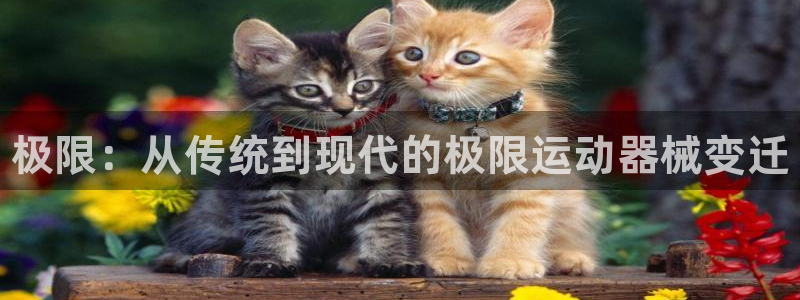 尊龙凯时捕鱼游戏能玩吗：极限：从传统到现代的极限运动