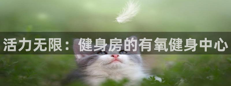 尊龙凯时 人生就是搏首页：活力无限：健身房的有氧健身